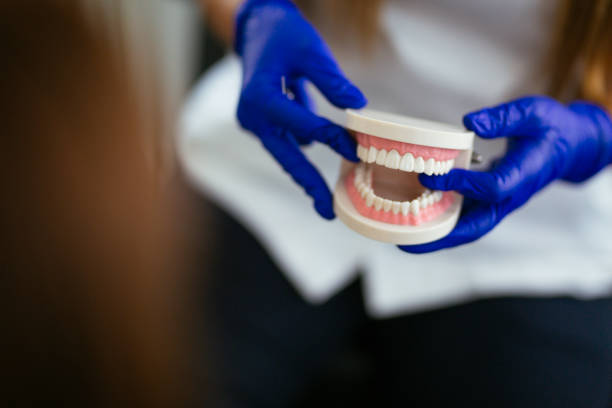 Reliable Grand Meadow, MN Dental Services Solutions