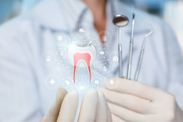Best Dental Inlays and Onlays  in Grand Meadow, MN