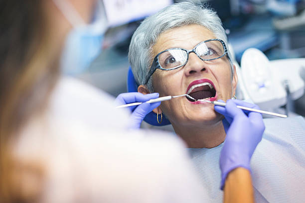 Best Dental Fillings (Composite and Amalgam)  in Grand Meadow, MN